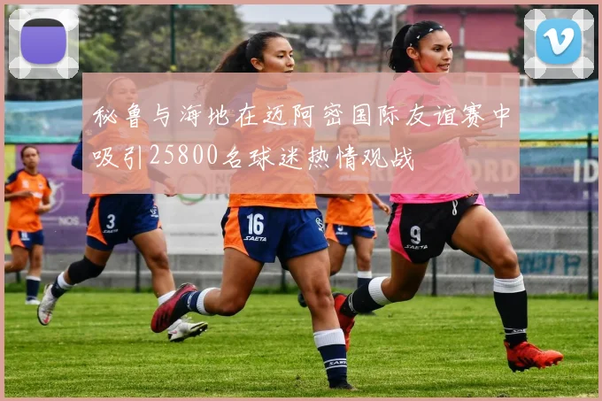 秘鲁与海地在迈阿密国际友谊赛中吸引25800名球迷热情观战