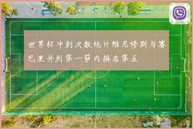 世界杯冲刺次数统计维尼修斯与赛巴里并列第一萨内排名第五